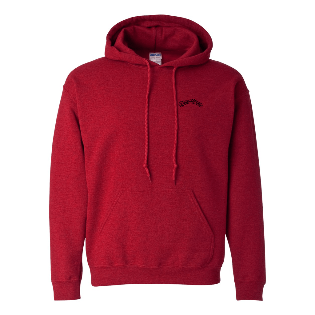 Zaagi 2025 Hoodie - Bizaanide'ewin