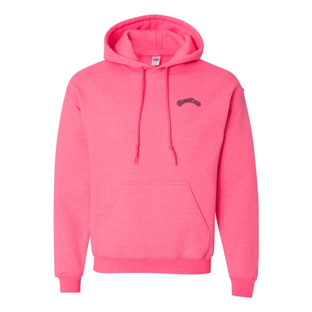 Zaagi 2025 Hoodie - Bizaanide'ewin