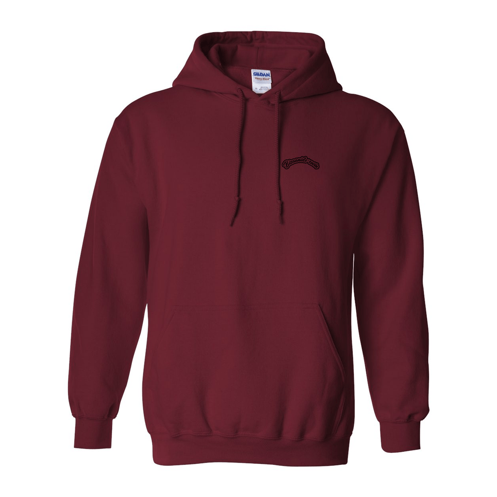 Zaagi 2025 Hoodie - Bizaanide'ewin