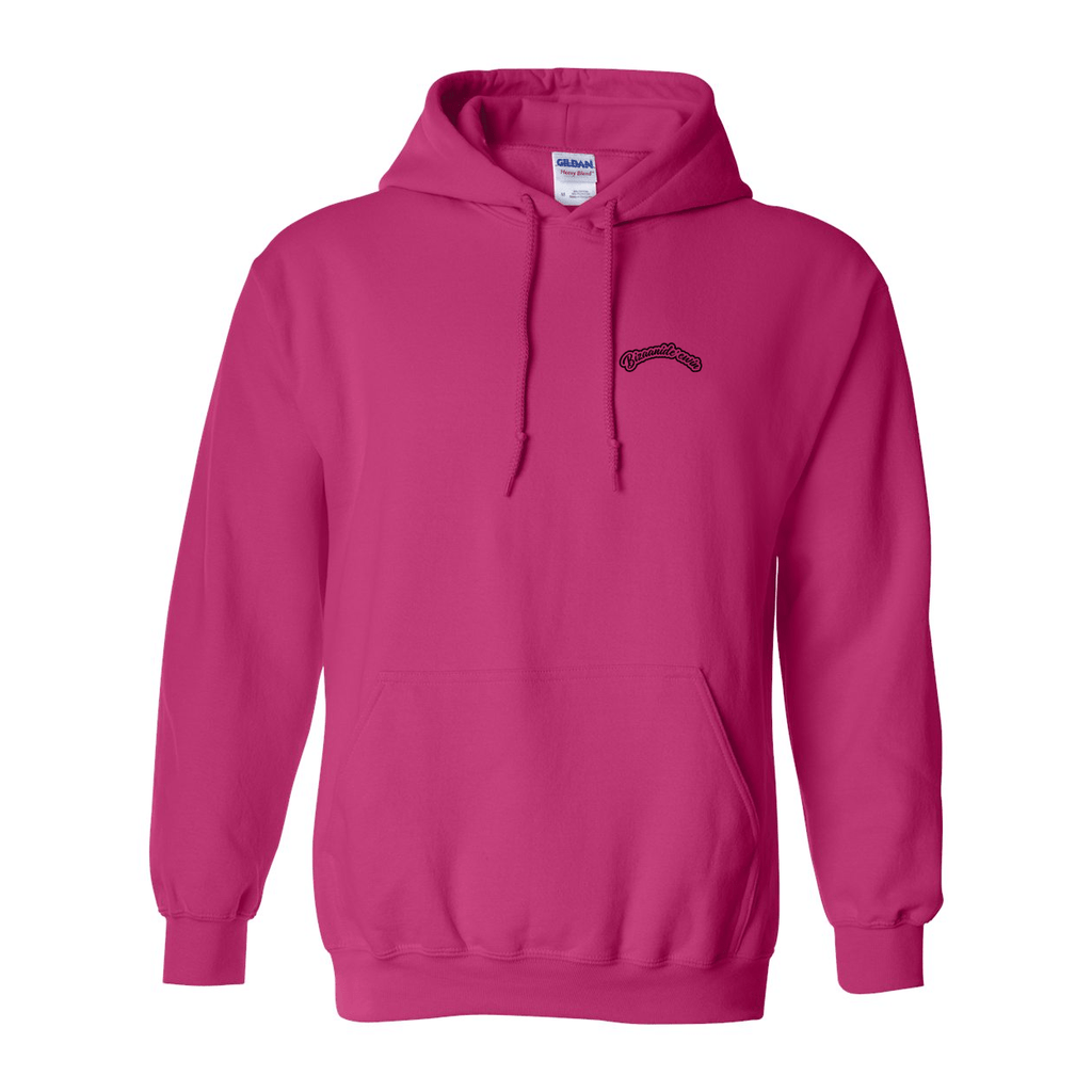 Zaagi 2025 Hoodie - Bizaanide'ewin